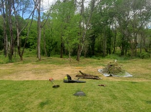 Cleanups by Jared Johnson for Lisa J. in Asheville, NC