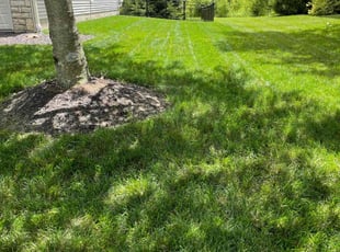 Ruby P.'s Lawn Service service result