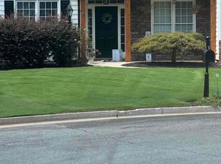 Darrell M.'s Lawn Mowing Service service result