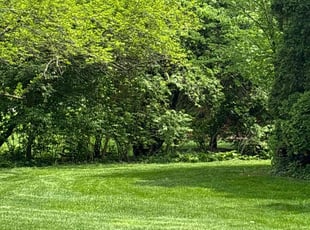Paula K.'s Lawn Mowing service result