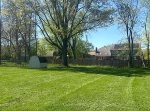 Debbie H.'s Lawn Mowing Service service result