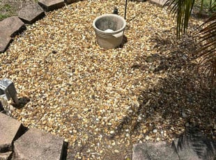 Weeding by Jace Major for Lindsey B. in Margate, FL