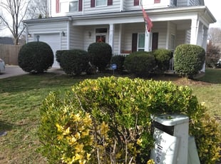 Bush Trimming by Adams Paiz for Margaret R. in Charlotte, NC