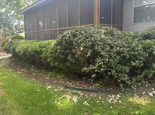 Bush Trimming by Steven Zanetich for Dwight E. in Canyon Lake, TX