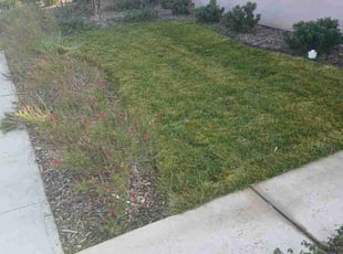 Jess V.'s Lawn Care service result