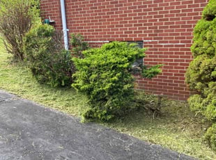 Brian O.'s Lawn Mowing service result
