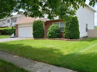 Maria S.'s Grass Cutting service result