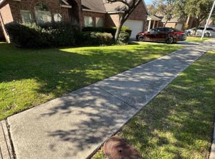 Richard W.'s Lawn Mowing Service service result