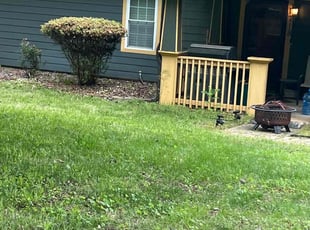 Bush Trimming by Louis Sampson for Johnathan H. in Marietta, GA