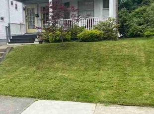 Donna T.'s Lawn Care service result