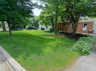 Alisa C.'s Grass Cutting service result