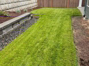Meaghan L.'s Lawn Maintenance service result