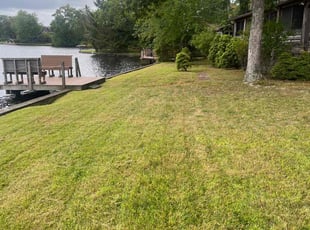 Miguel and MaryAnne T.'s Lawn Service service result