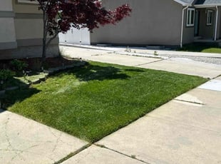 Dongseon P.'s Lawn Care service result
