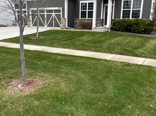 Michael D.'s Lawn Care service result