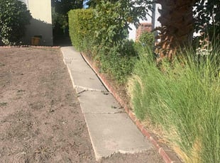 Bush Trimming by William Mendoza for Carol M. in Los Angeles, CA