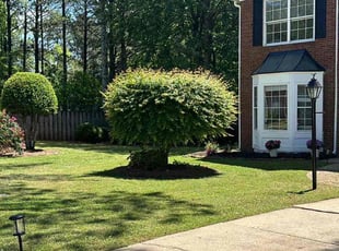 Laura L.'s Lawn Mowing service result