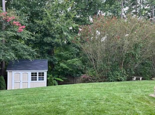 Virginia K.'s Lawn Service service result