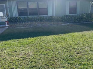 Teresita F.'s Bush Trimming service result