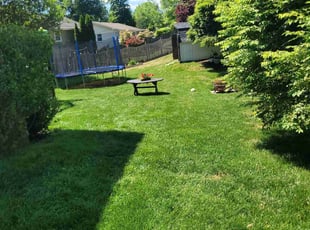 Chris P.'s Lawn Mowing service result