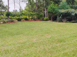 Joanne Z.'s Grass Cutting service result