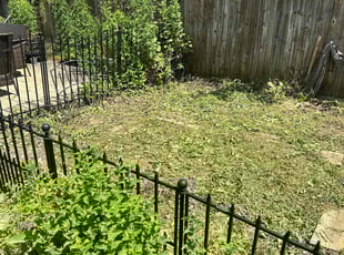 Bush Trimming by Scott Bassett for Janice B. in Bridgeport, CT
