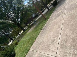 Christi R.'s Lawn Maintenance service result