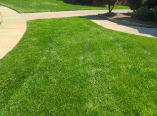 Jackie H.'s Lawn Service service result
