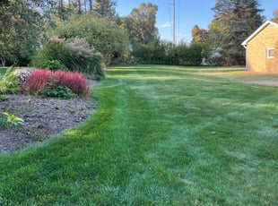Mark C.'s Lawn Mowing service result