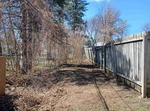 Bush Trimming by David Gallaway for Jackie W. in Saint Paul, MN
