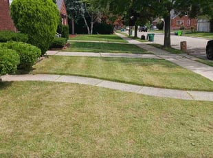 Ortagus F.'s Lawn Maintenance service result