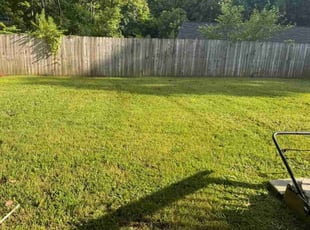 Ginger M.'s Lawn Care service result