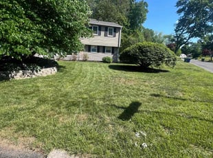 Ruby B.'s Yard Cutting service result