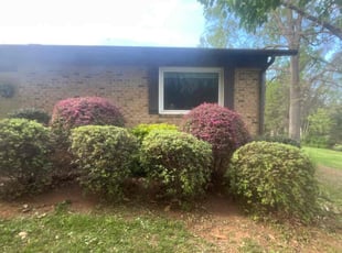 Bush Trimming by Anthony Friedman for Sherry M. in Concord, NC
