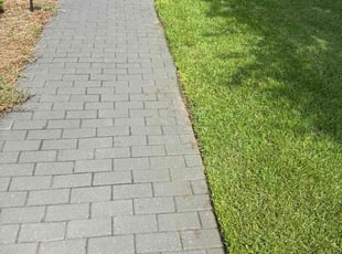 Janina O.'s Lawn Mowing Service service result