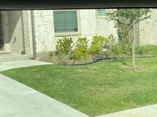 Weeding by Edward Rodriguez for Mayami M. in Haslet, TX