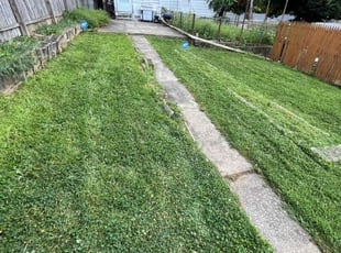 Deepika A.'s Lawn Mowing service result