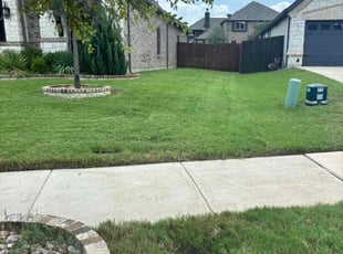 Jeff R.'s Yard Cutting service result
