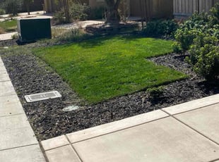 Karen K.'s Lawn Service service result