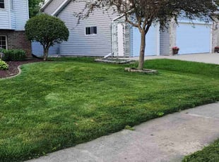 Yiling Z.'s Lawn Mowing Service service result