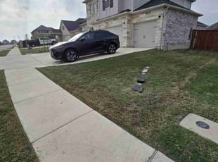 Adriana O.'s Lawn Mowing Service service result