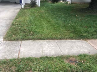 Anthony B.'s Lawn Mowing service result
