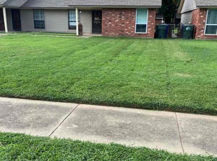 Lovrina S.'s Lawn Mowing service result