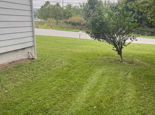 Dylan B.'s Lawn Care service result