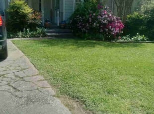 Robert E.'s Lawn Service service result