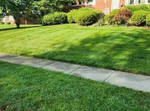 Alicia D.'s Lawn Mowing service result