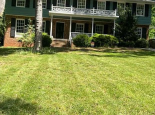 Michelle A.'s Grass Cutting service result
