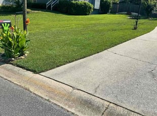 Fatima B.'s Lawn Mowing service result
