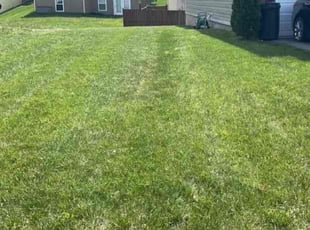 Crystal E.'s Yard Cutting service result