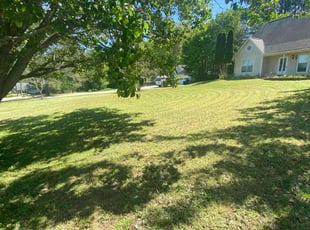 Jeff V.'s Yard Cutting service result
